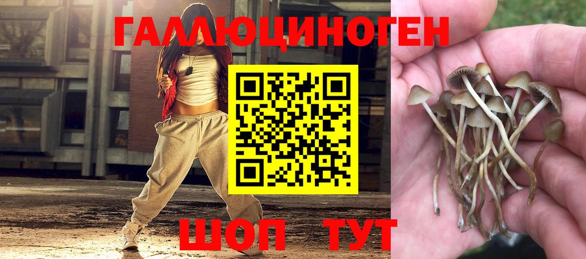 магазин продажи   Галлюциногенные грибы мицелий  Вход с VPN  Галлюциногенные грибы мицелий  Клинцы 