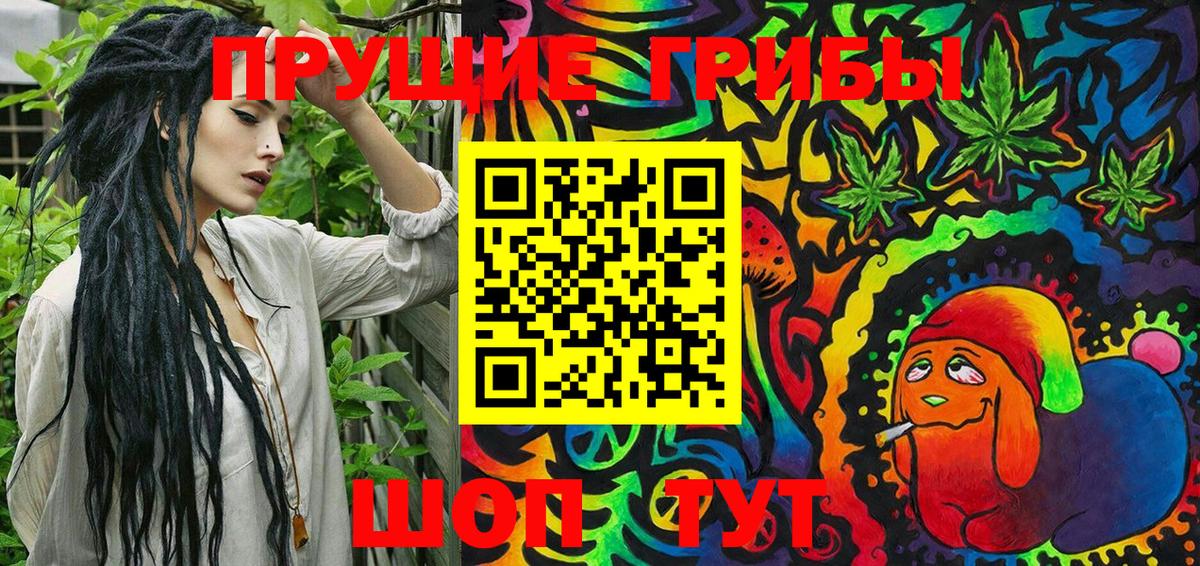 Псилоцибиновые грибы Psilocybine cubensis Клинцы